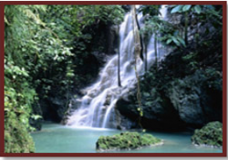 Sinharaja Rain Forest 3